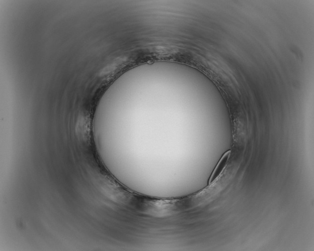 X0000112170184200908211434