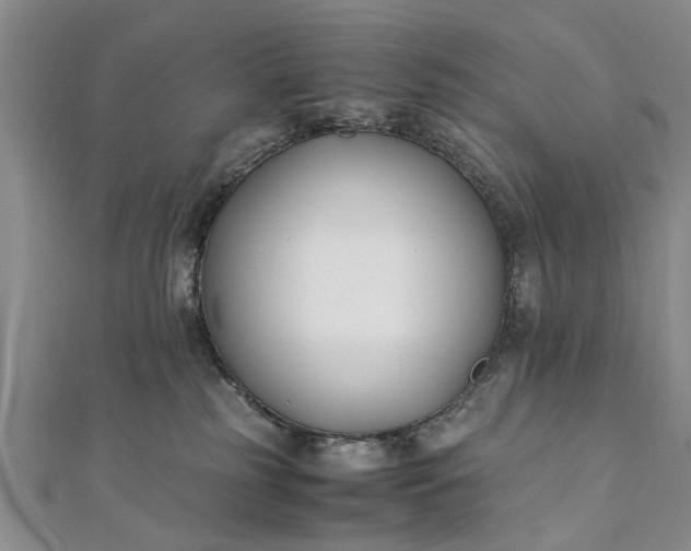 X0000112170185200908211434