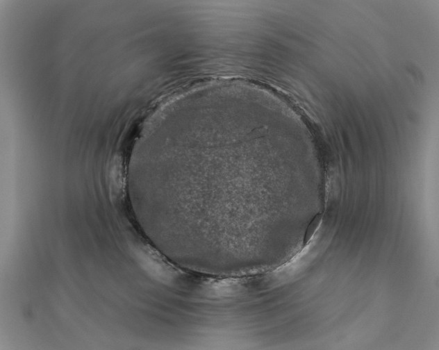 X0000112170186200908211434