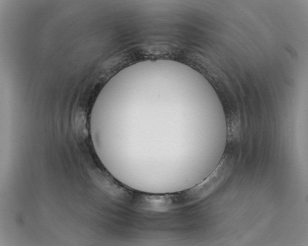 X0000112170187200908211434