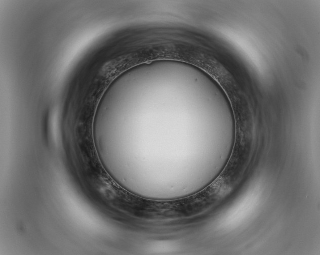 X0000112170189200908211434