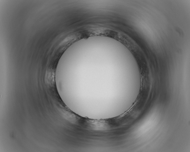 X0000112170191200908211434