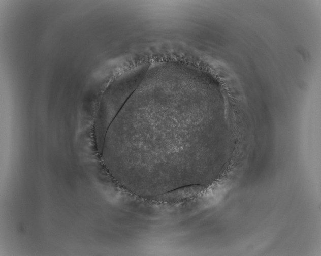 X0000112170192200908211434