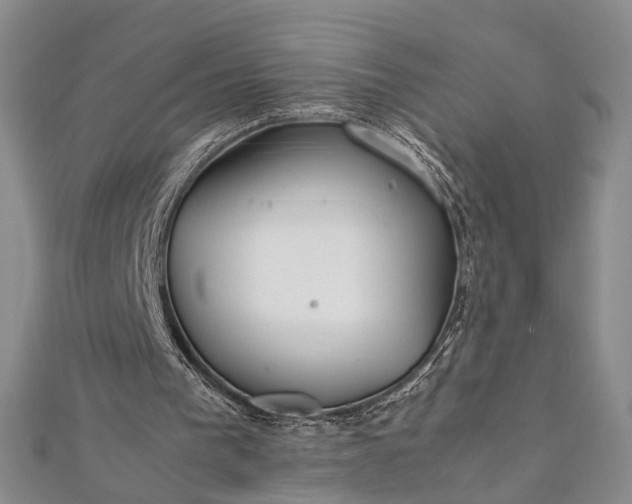 X0000112170193200908211434