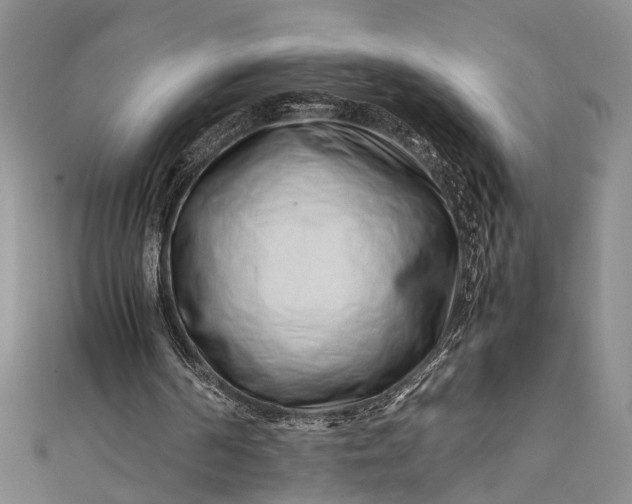 X0000112170194200908211434