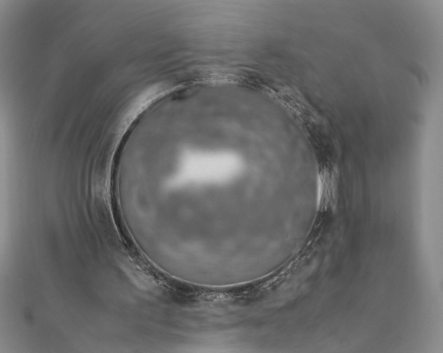 X0000112170195200908211434