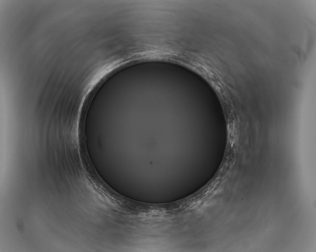 X0000112170196200908211434