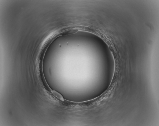 X0000112170197200908211434