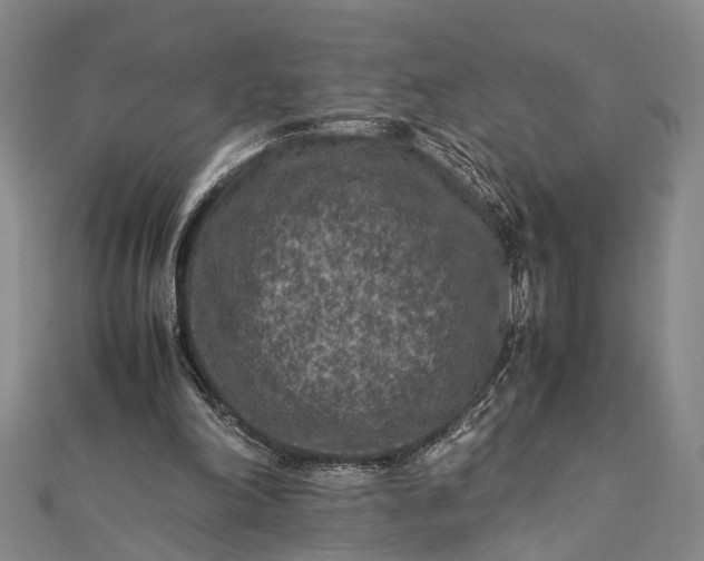 X0000112170198200908211434