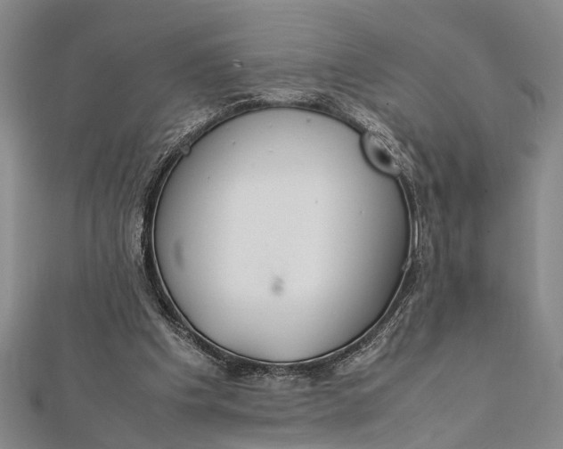 X0000112170201200908211434