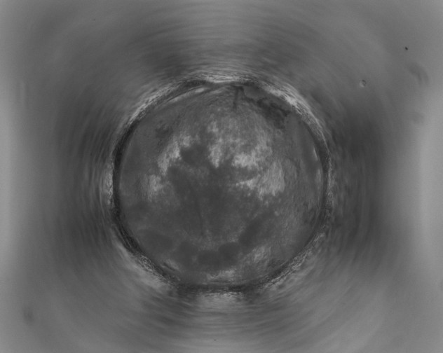 X0000112170202200908211434