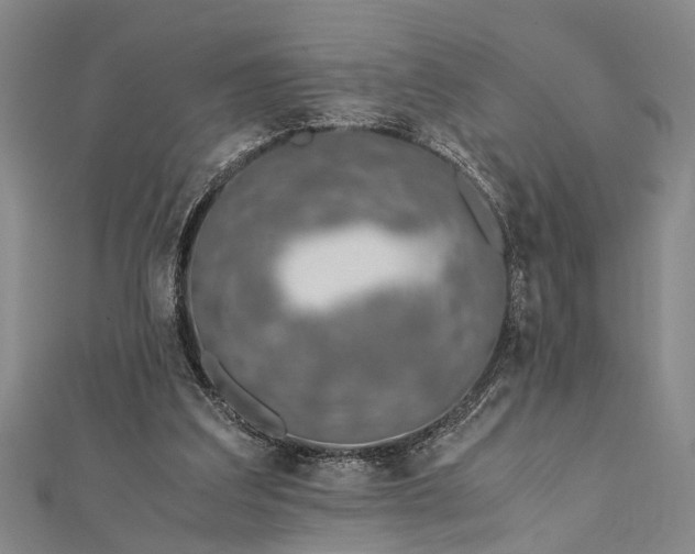 X0000112170203200908211434