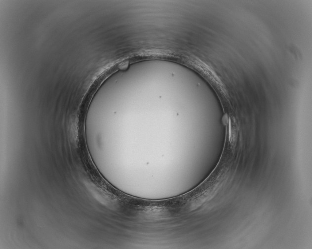 X0000112170204200908211433