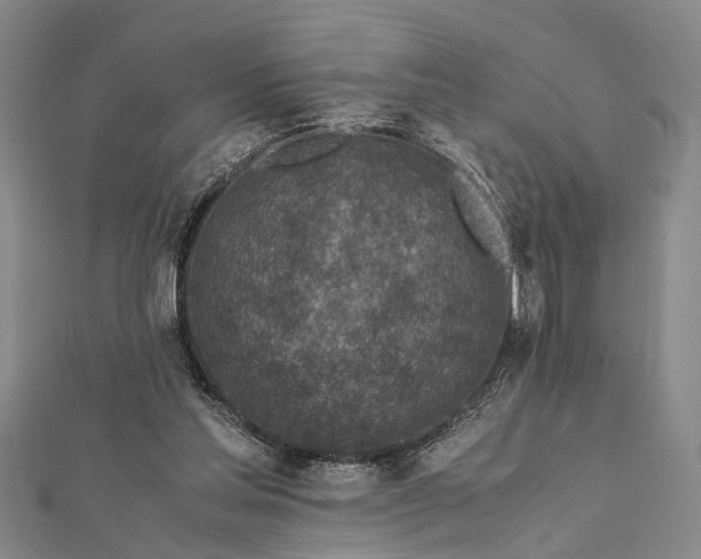 X0000112170205200908211433