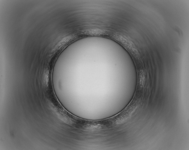 X0000112170206200908211433