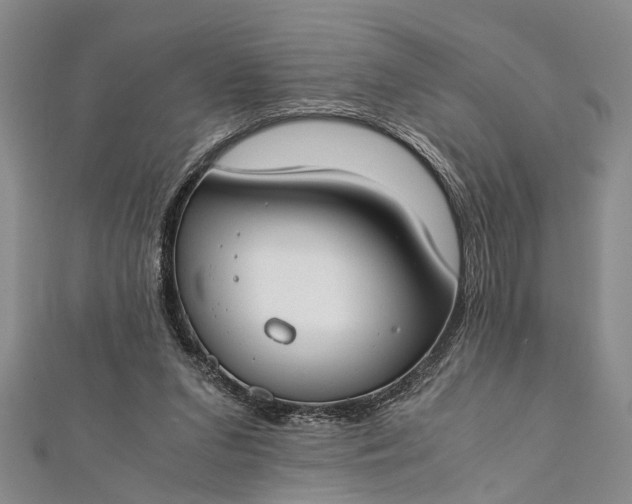 X0000112170207200908211433