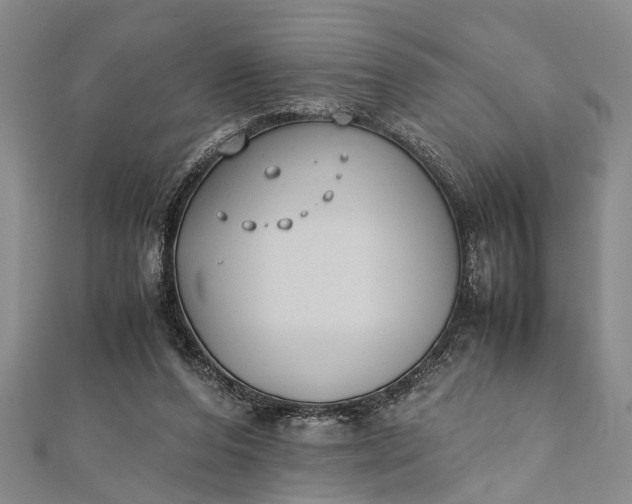 X0000112170208200908211433