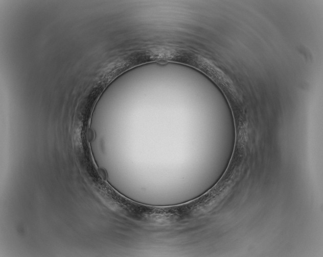 X0000112170209200908211433