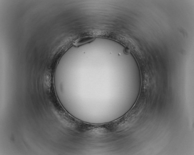 X0000112170210200908211433