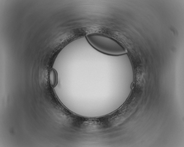 X0000112170211200908211433