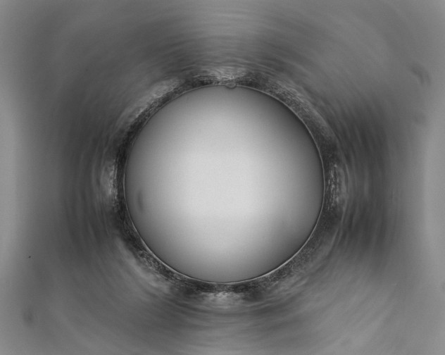 X0000112170212200908211433