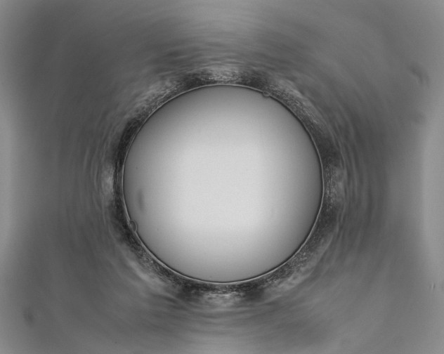 X0000112170213200908211433