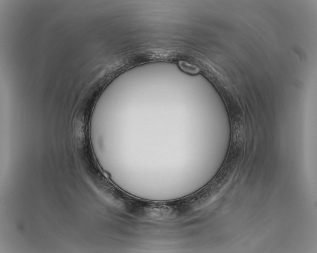 X0000112170215200908211433