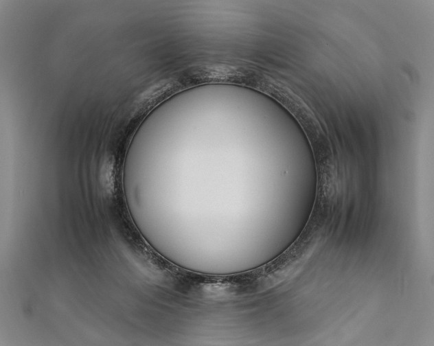 X0000112170216200908211433