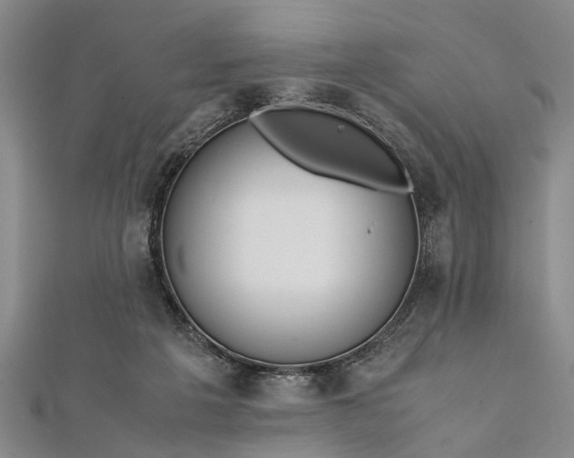 X0000112170217200908211433