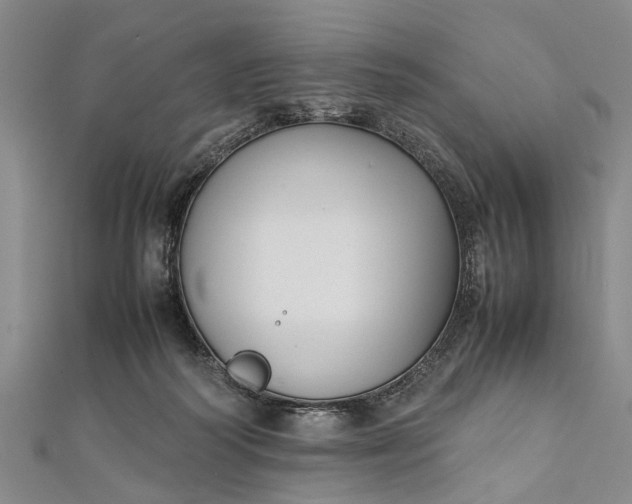 X0000112170218200908211433