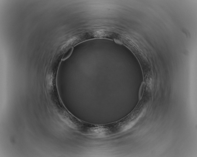 X0000112170219200908211433