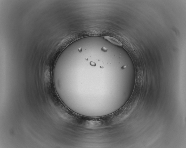 X0000112170220200908211433