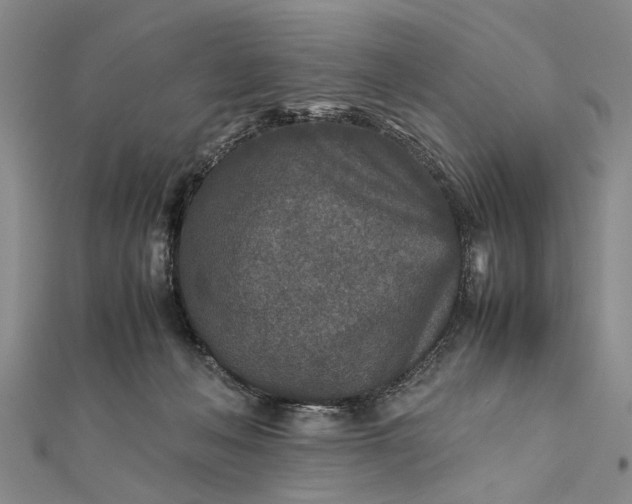 X0000112170222200908211433