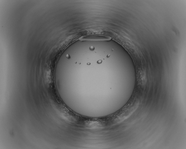 X0000112170224200908211433