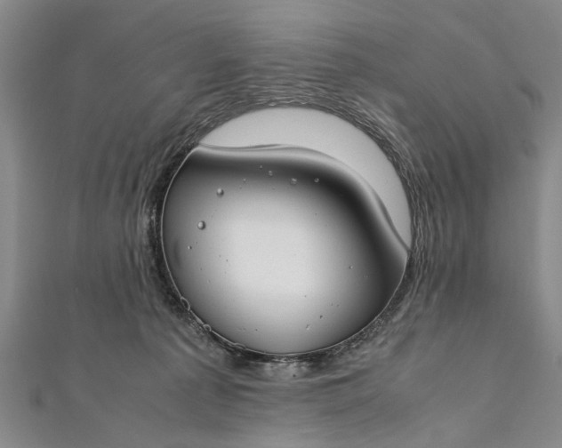 X0000112170225200908211433