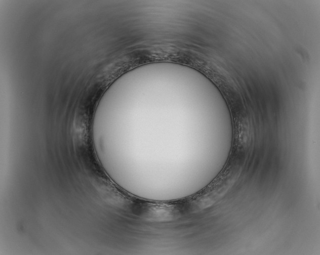 X0000112170226200908211433