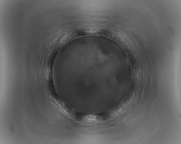 X0000112170227200908211433