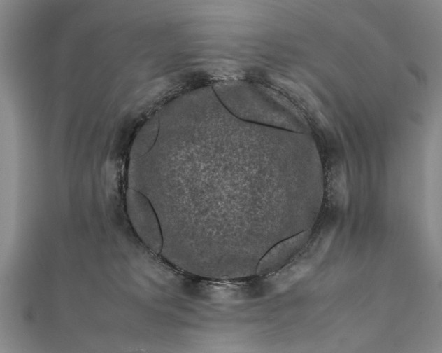 X0000112170229200908211433