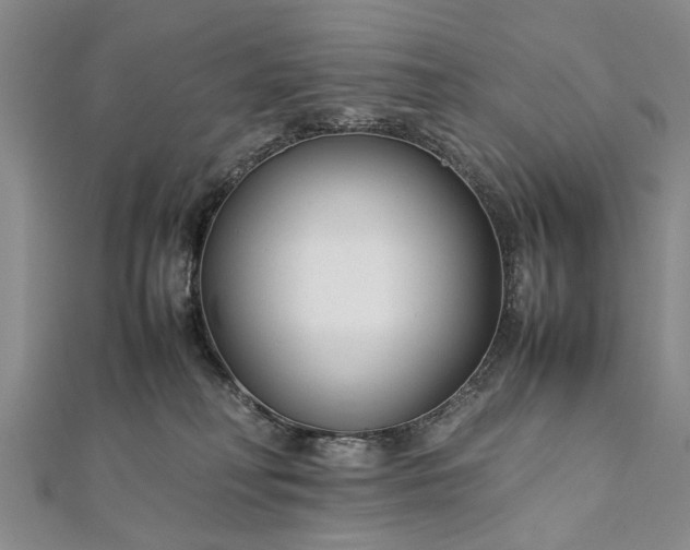 X0000112170230200908211433