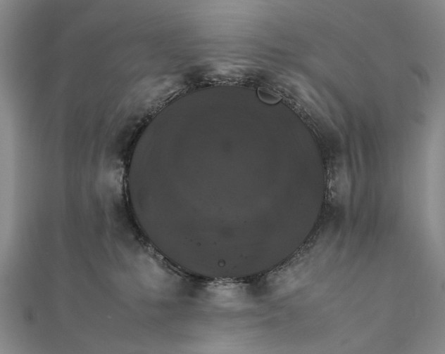 X0000112170231200908211433