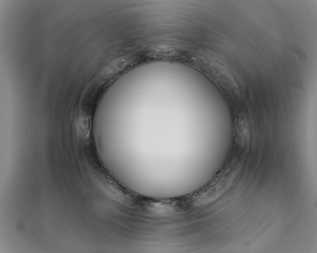 X0000112170232200908211433