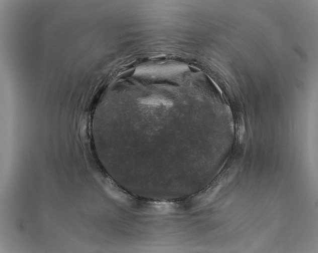 X0000112170233200908211433