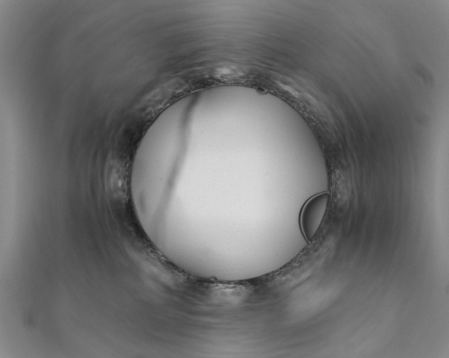 X0000112170234200908211433