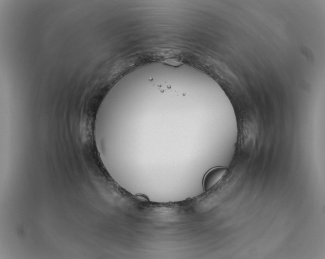 X0000112170236200908211433