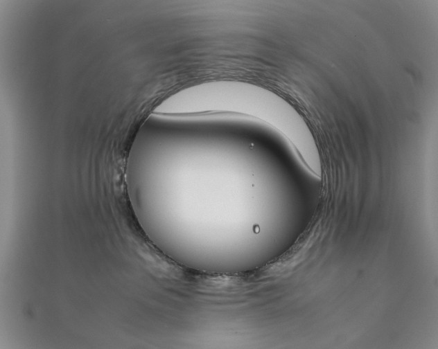 X0000112170237200908211433