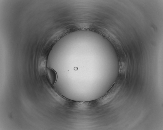 X0000112170238200908211433