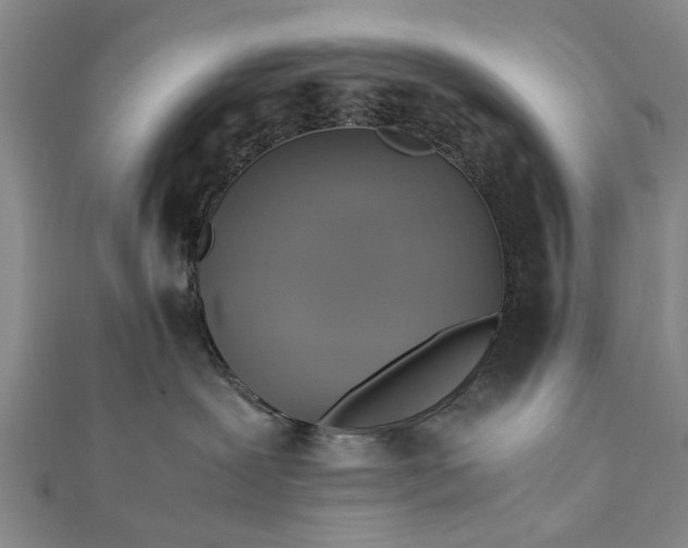 X0000112170239200908211433