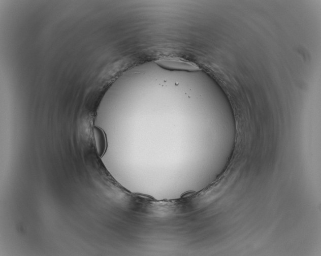 X0000112170240200908211433