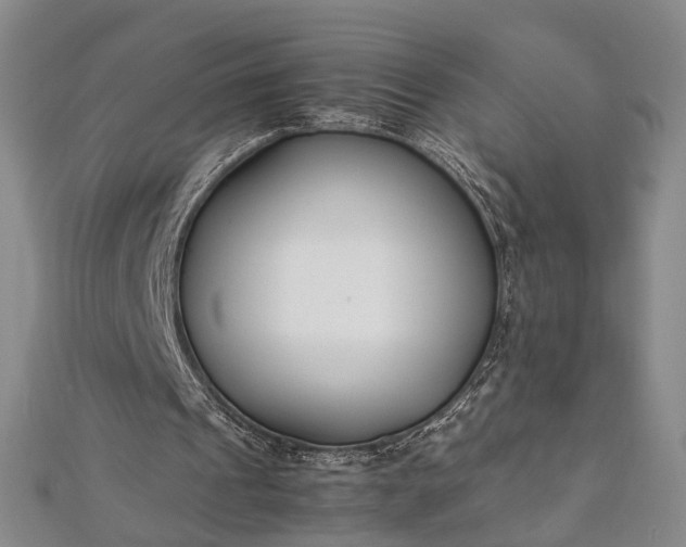 X0000112170241200908211432