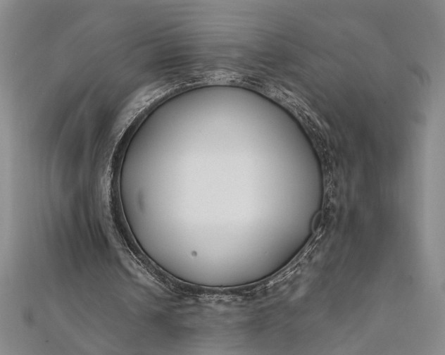 X0000112170242200908211432